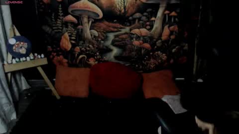 Luna online show from January 14, 2:19 am