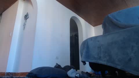 mistersam33 online show from February 10, 1:44 pm