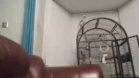 Leather Pants online show from November 10, 7:49 pm