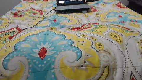 Snapshot of mollyandbra chatting on September 22, 12:48 am Molly And Brad online show from September 22, 12:48 am