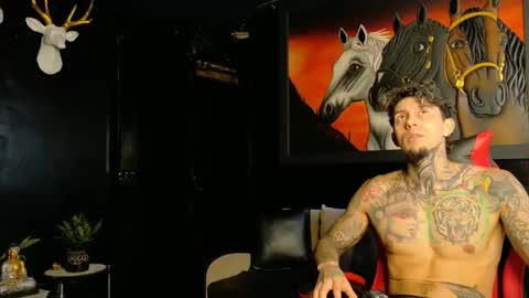 Molotov online show from November 18, 4:43 pm