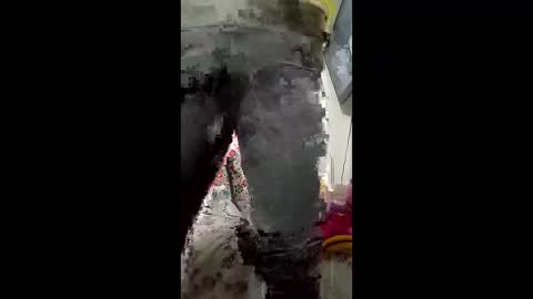 morbucksrica online show from March 4, 11:35 pm