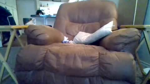 motodub online show from March 1, 4:00 pm