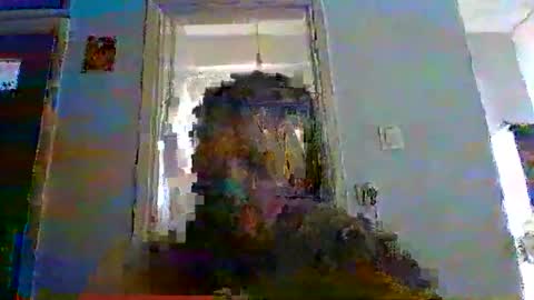 mppempis81 online show from November 12, 7:43 am