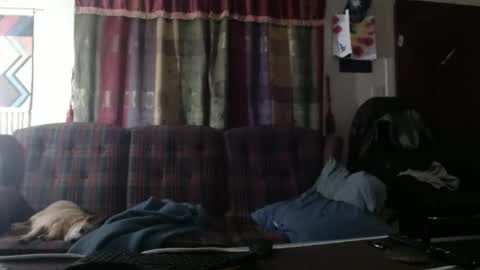 Snapshot of mr_happy12 chatting on October 19, 12:15 am mr_happy12 online show from October 19, 12:15 am