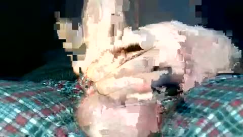 Snapshot of mrbigd1988 chatting on January 21, 2:48 pm mrbigd1988 online show from January 21, 2:48 pm