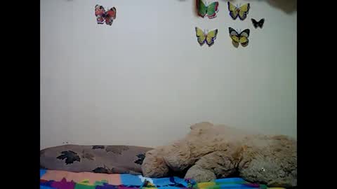 ms_teery online show from December 8, 12:30 pm