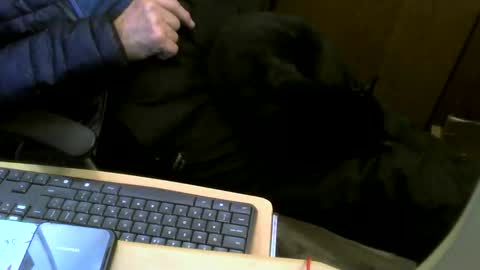 Snapshot of muller520 chatting on September 25, 5:42 pm muller520 online show from September 25, 5:42 pm