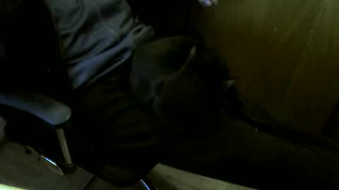 muller520 online show from December 16, 3:18 pm