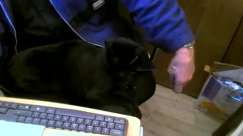 Snapshot of muller520 chatting on February 27, 5:26 pm muller520 online show from February 27, 5:26 pm