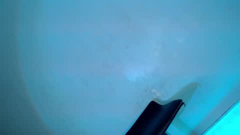 Snapshot of my_other_half chatting on February 8, 8:31 am Serena online show from February 8, 8:31 am