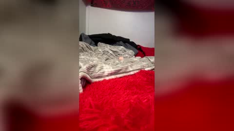 cheesechip online show from December 16, 10:10 am