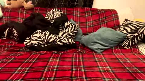 unable nkd life online show from December 15, 5:31 pm