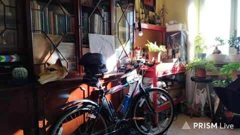 Naked Naturist online show from April 6, 6:47 am