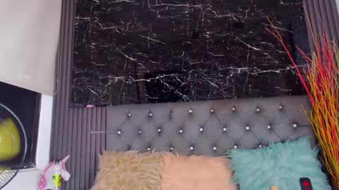 NALAROY online show from February 26, 7:32 pm