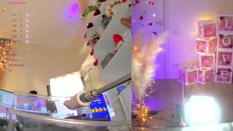 INSTAGRAM     bekkercat  online show from February 16, 12:25 pm