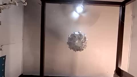 Haven online show from March 26, 4:56 pm