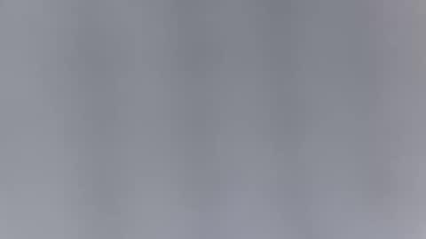 Haven online show from March 11, 2:09 pm