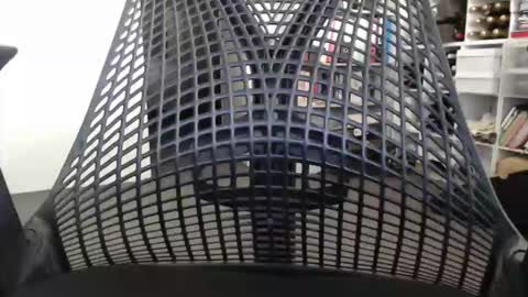 nawtybitz online show from June 3, 1:41 am