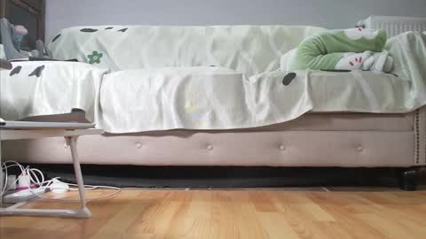 boyl online show from February 25, 6:28 am