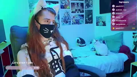 Neko online show from February 7, 4:10 pm