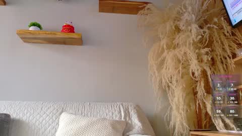 Jordan online show from April 11, 12:42 pm