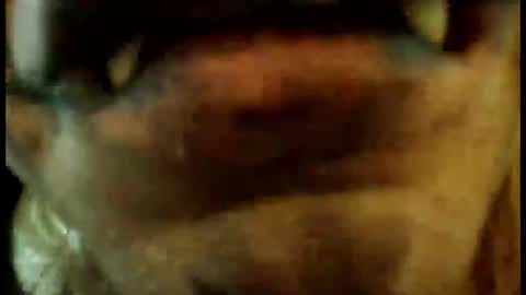 Nidhgg online show from August 4, 3:24 am