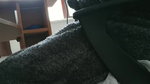 nineinchhard online show from October 30, 10:49 am