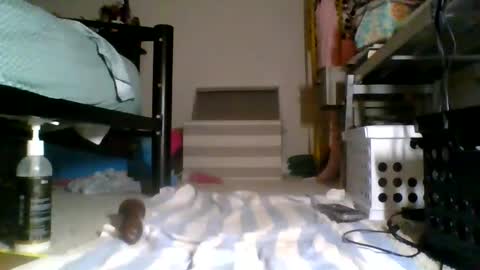 Ning Twink online show from May 15, 5:27 am