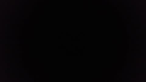 Ninjadance online show from December 29, 11:29 am