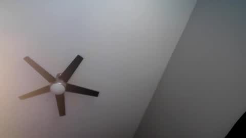 Nirvanafox7 online show from December 6, 5:38 pm