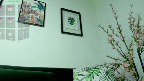 Noah  online show from January 25, 6:45 am