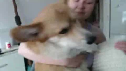 nodarell online show from February 1, 12:24 pm