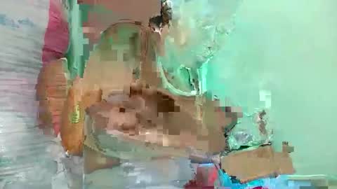 noellah online show from March 6, 8:24 am