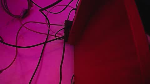 noise_lux online show from February 25, 3:26 pm