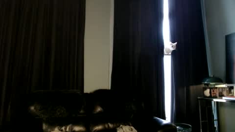 Im here enjoy online show from April 12, 6:06 am