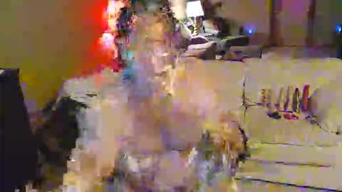 norules2323 online show from April 26, 3:59 am