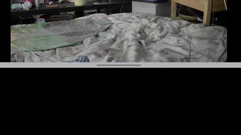 nudemox online show from November 20, 3:38 am