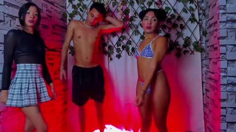 Powerfull tree69 online show from February 1, 2:37 am