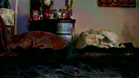 KN online show from March 17, 12:32 pm