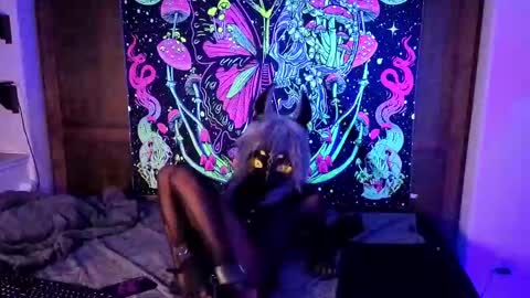 Bastet online show from September 23, 4:23 pm