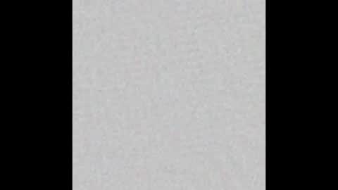 Obsidian stallion online show from March 21, 6:30 am