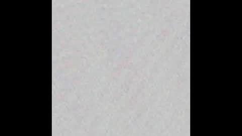 Obsidian stallion online show from November 10, 1:41 am