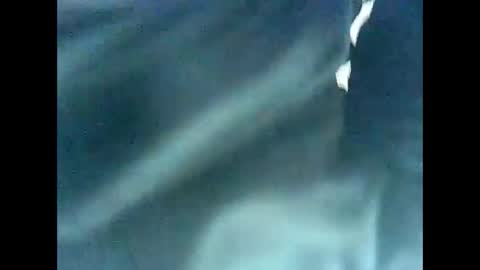 occhio00 online show from February 9, 12:41 pm