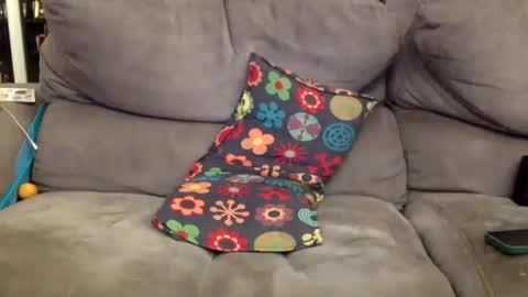 oggs48 online show from November 30, 6:48 pm