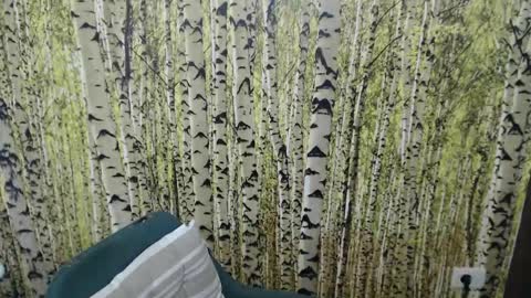 Mistress Olivia online show from April 16, 8:20 pm