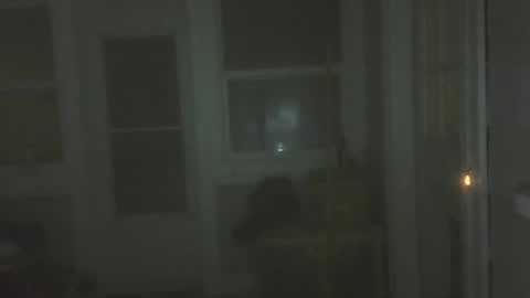 onlylooking4 online show from February 26, 4:05 am