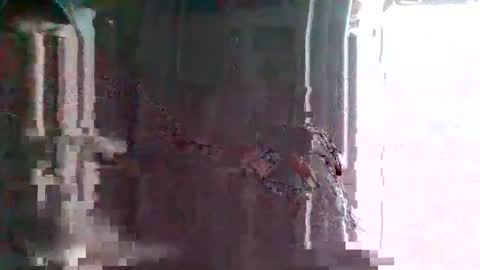 onthemove03 online show from April 5, 7:11 pm