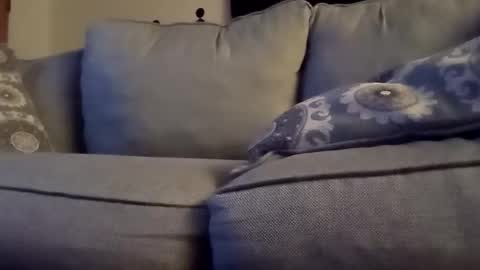 openmind_holes online show from January 29, 6:01 am