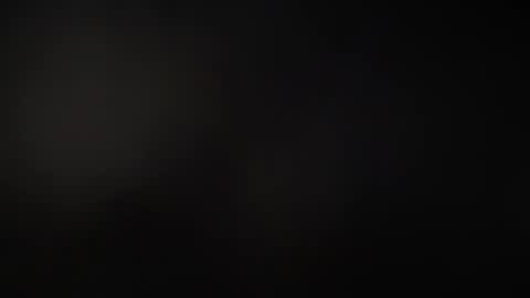 or online show from January 13, 12:13 pm